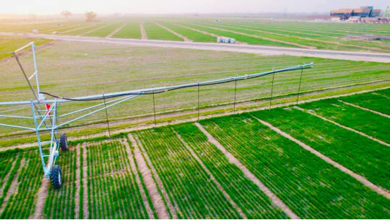 ���ٸߘ�(bi��o)��(zh��n)�r(n��ng)��ʾ���^(q��)�(xi��ng)Ŀ���O(sh��)���F(xi��n)�ɹ�